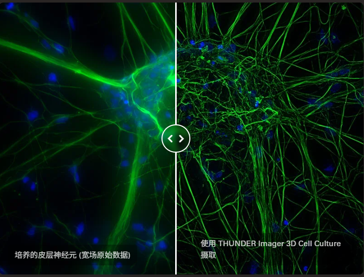 Thunder高分辨顯微鏡