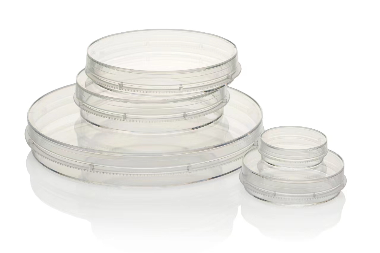 Thermo Nucn 細(xì)胞培養(yǎng)皿