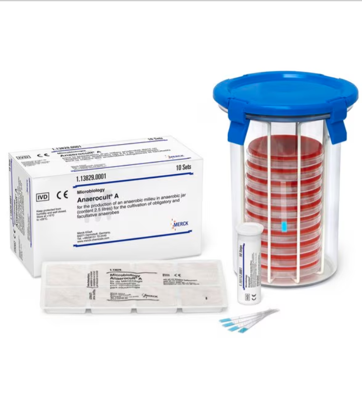 厭氧發(fā)生系統