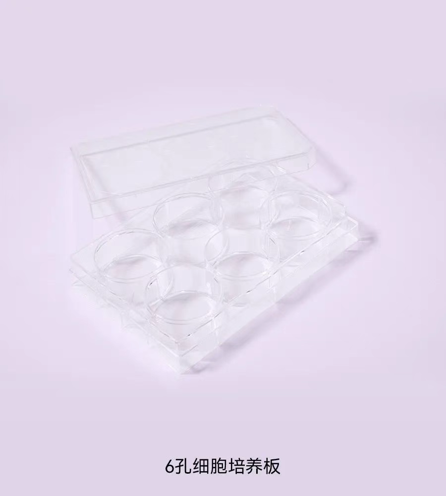 based life培養(yǎng)板